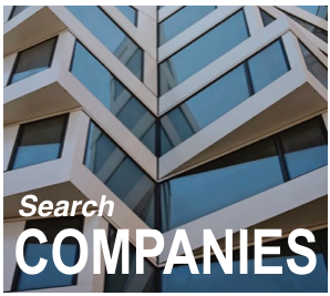 Company Search